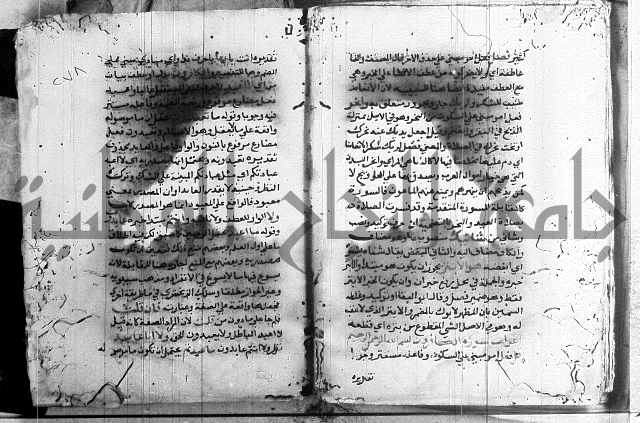 العقود الجوهرية 