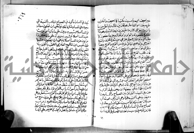البحر الفائض في شرح ديوان ابن الفارض البوريني 