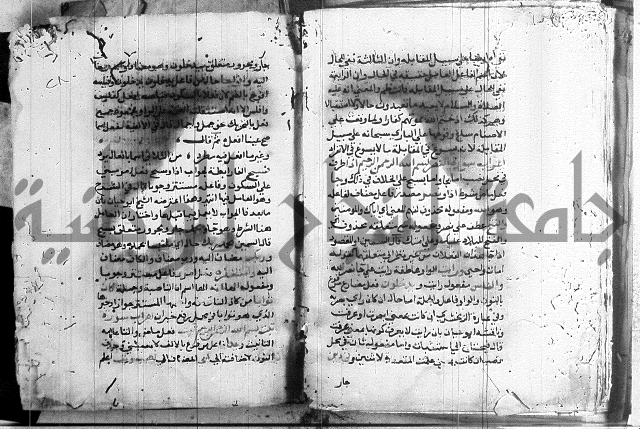 العقود الجوهرية 