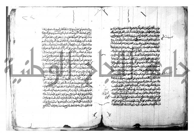 شرح شذور الذهب لابن هشام