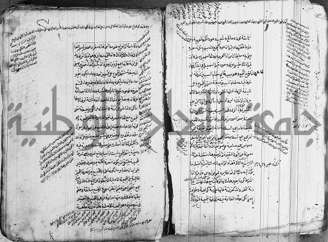 فوائد على الكافية 