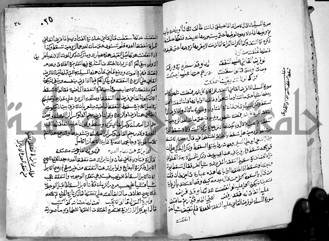 الدرة السنية بشرح الفوايد الفقهية 