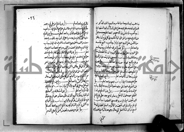 الفتاوى الامينية