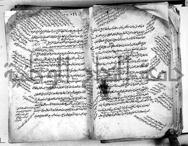 مذهب ابي حنيفة في الفقة