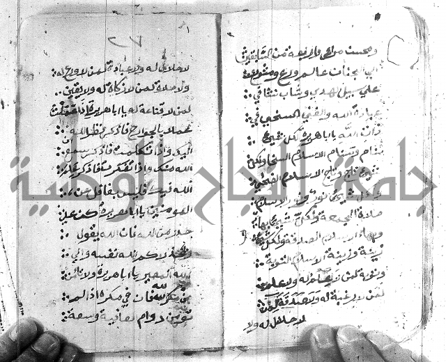 قصة ابي هريرة 