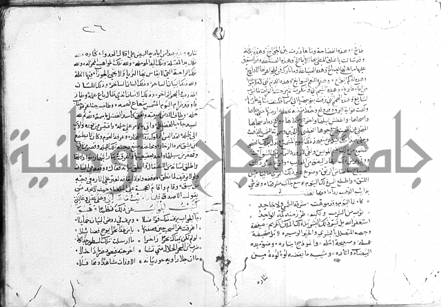 كتاب في الادب 