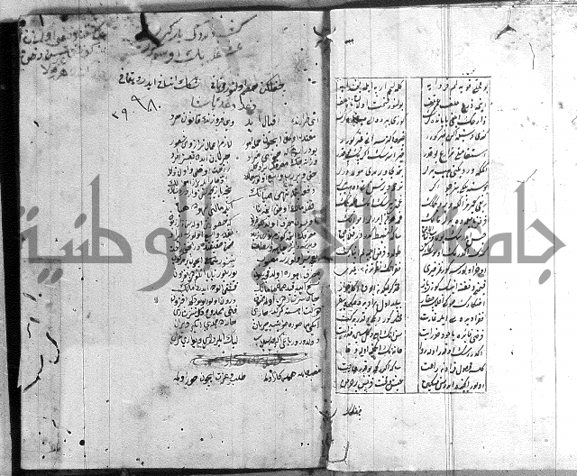 نظم تركي