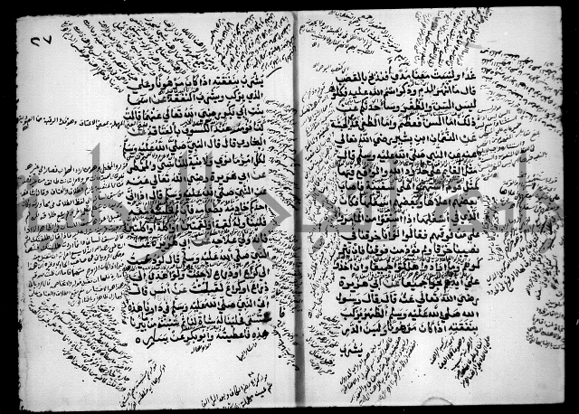 مختصر صحيح البخاري = جمع النهاية في بدء الخير والغاية