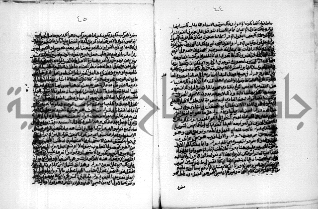 حاشية الشبراملي على شرح الورقات لابن قاسم العبادي