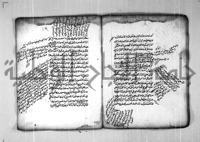 شرح الهمزية  