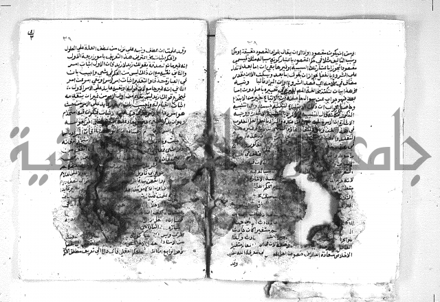 الهدهدي 