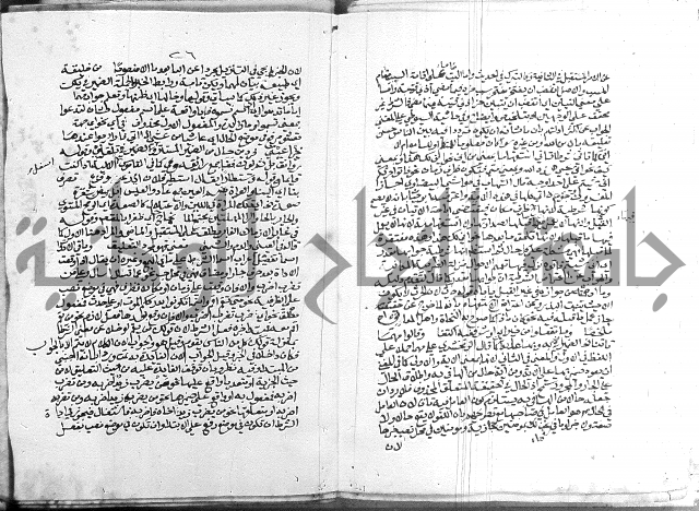 كتاب في اللغة العربية