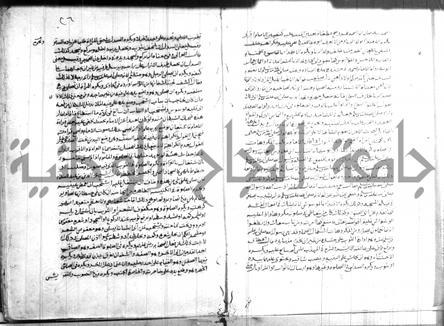 القول التام 