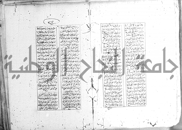 خلاصة التنوير 