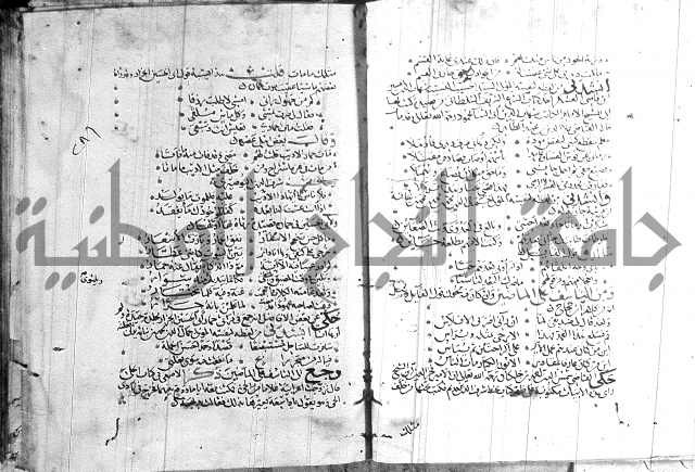 شرح لامية العجم 