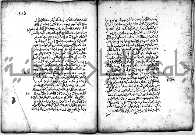 فقة من مخطوطات مسجد الحاج نمر النابلسي 