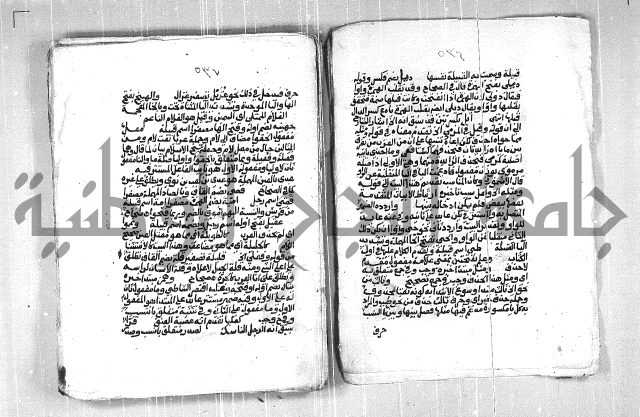 فتح الجليل  على شرح ابن عقيل 