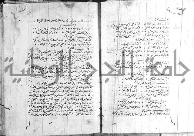 شرح لامية العجم 