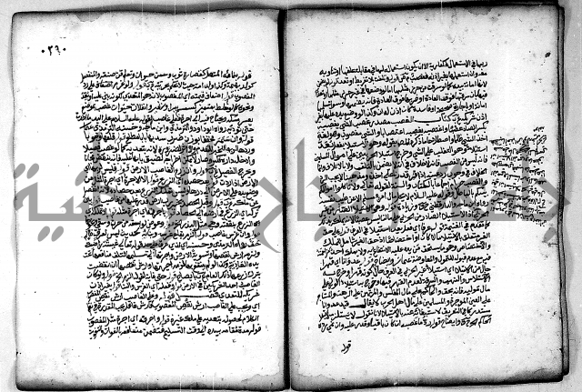 فقة من مخطوطات مسجد الحاج نمر النابلسي 