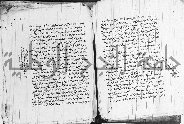 الزيادي على المنهج 