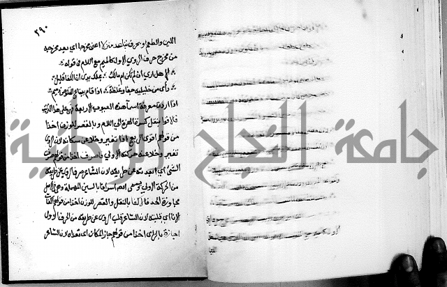 مختصر حاشية القهوتي 