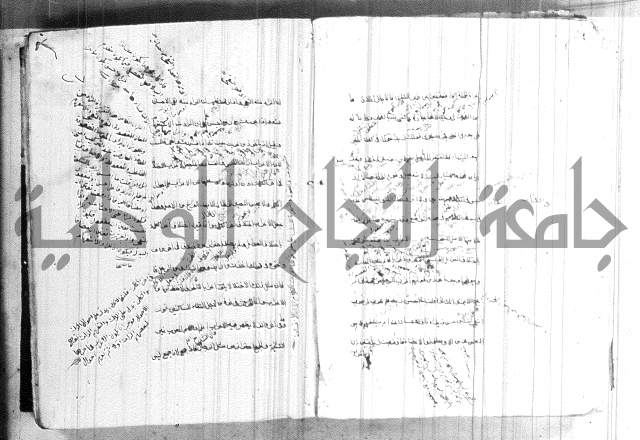 ضوء في علم النحو