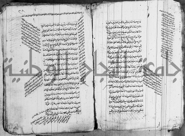 فوائد على الكافية 