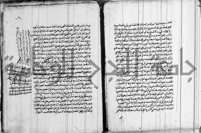حاشية على الشنشوري