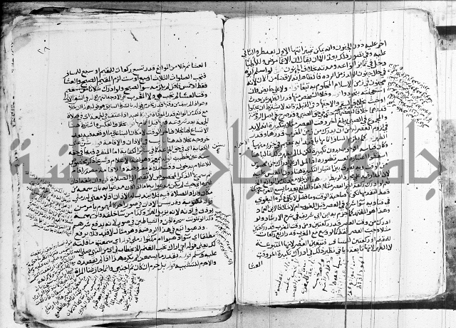 الزيادي على المنهج 