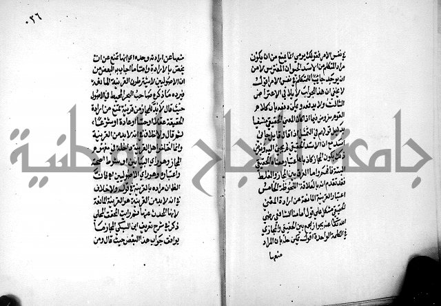 الرسالة البيانية