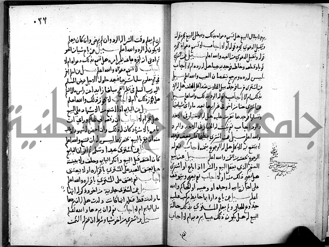 الفتاوى الامينية