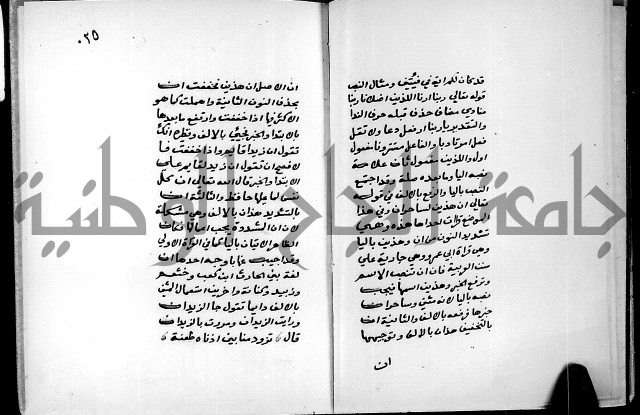 شرح شذور الذهب في معرفة كلام العرب 