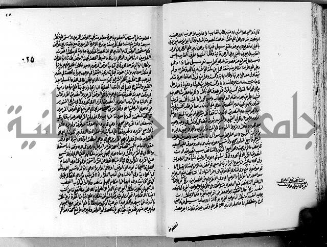 الجواهر الدورية في تنقيح الفتاوى الحامدية ج2 