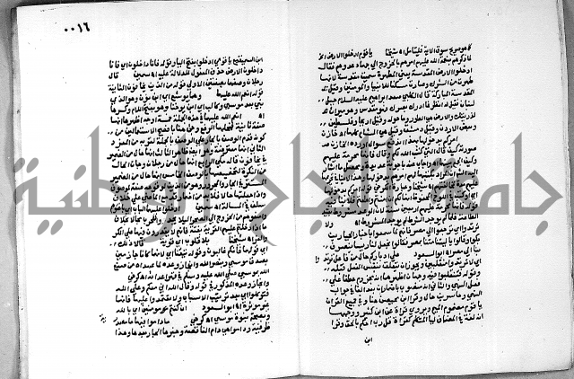 حاشية الجمل على الجلالين 