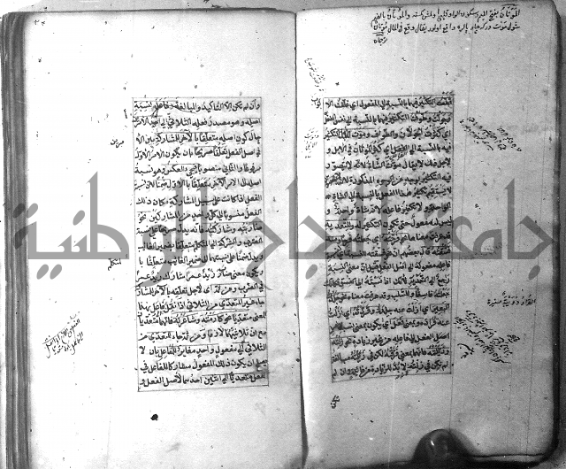 شرح الشافية 