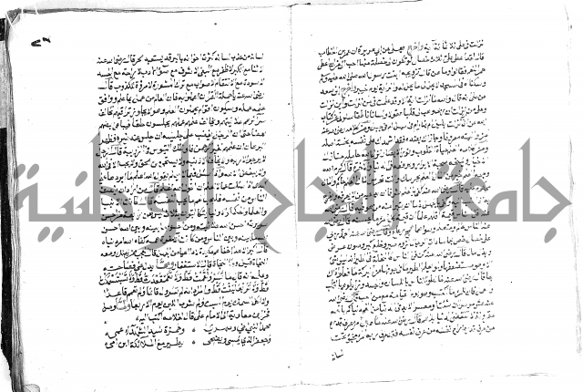 تحفة بن عبد مناف