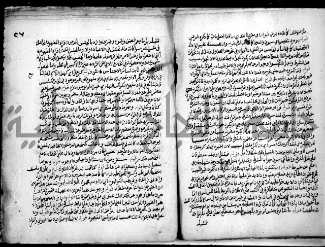 حاشية السجاعي على شرح قطر الندى وبل الصدى لابن هشام