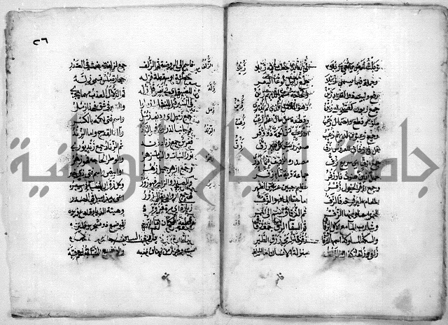 مجهول نظم