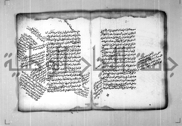 شرح الهمزية  