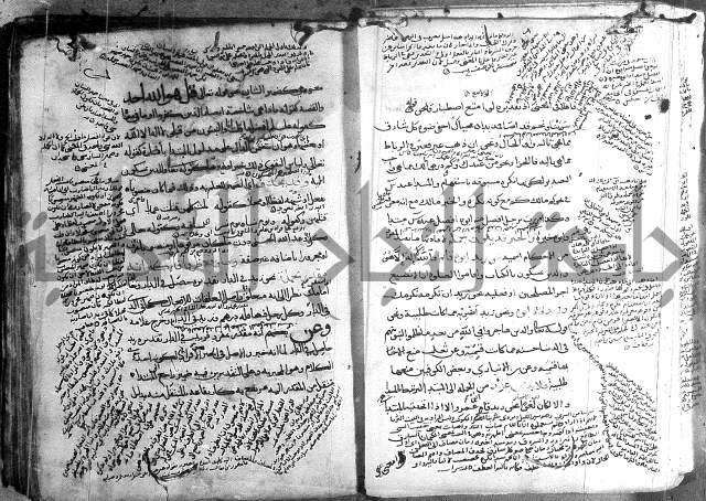 المواشح على الكافية