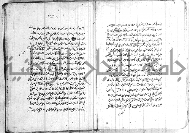 الانتاج المؤلف 