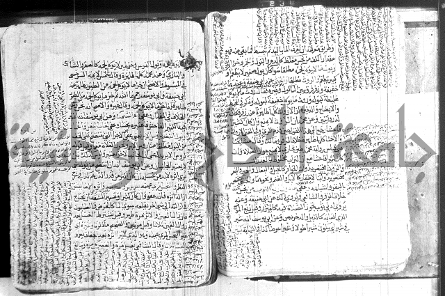 كنز الدقائق