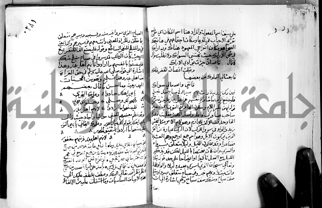 البحر الفائض في شرح ديوان ابن الفارض البوريني 