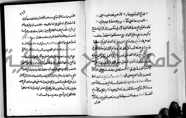 مختصر حاشية القهوتي 