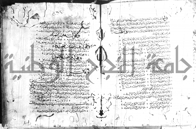 شرح لامية العجم 