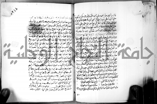 البحر الفائض في شرح ديوان ابن الفارض البوريني 