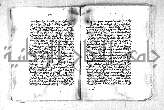 فتح الجليل  على شرح ابن عقيل 