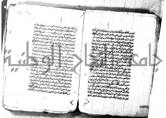 شرح شذور الذهب لابن هشام