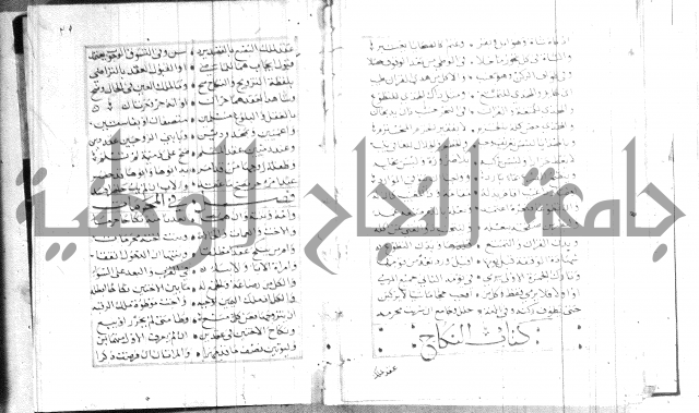 نظم كنز الدقائق