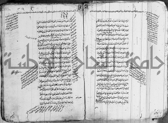 فوائد على الكافية 